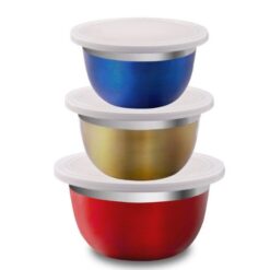 STAINLESS STEEL BOWLS IN COLOURS WITH LID S/3 SS-17310